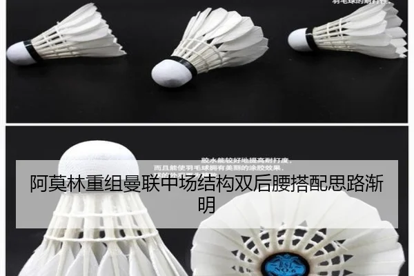 阿莫林重组曼联中场结构双后腰搭配思路渐明